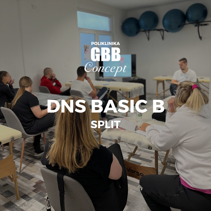 DNS Basic B