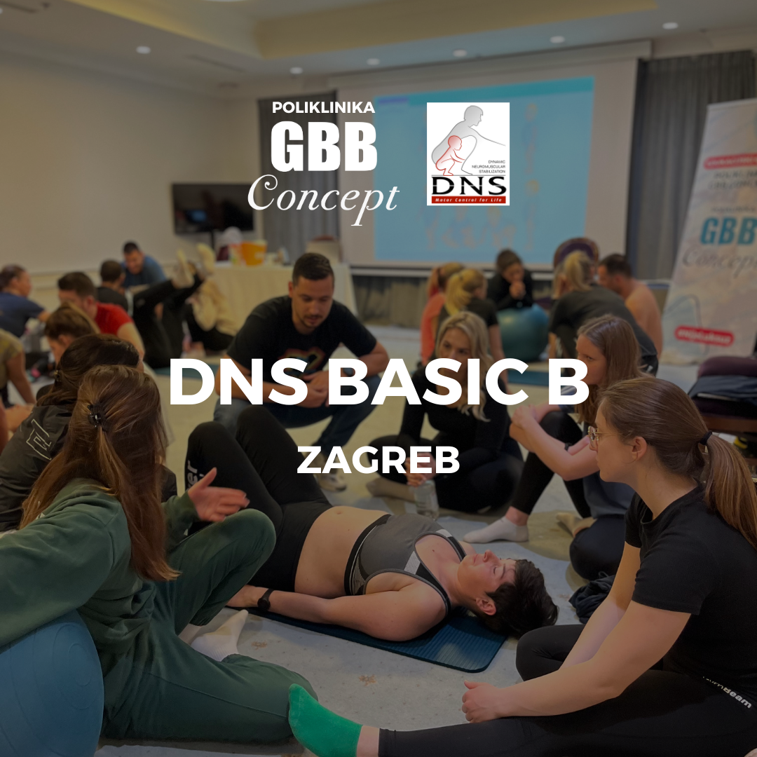 DNS Basic B