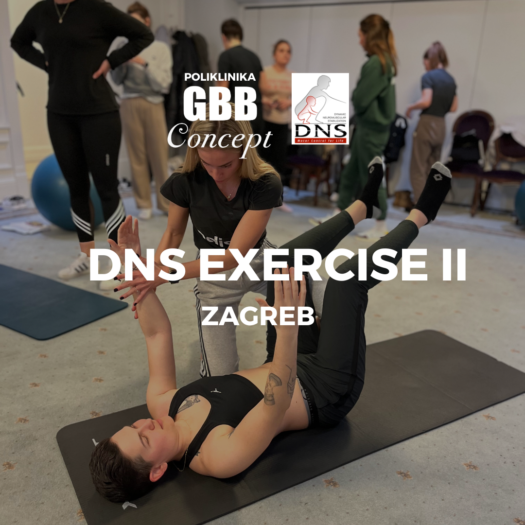 DNS Exercise II